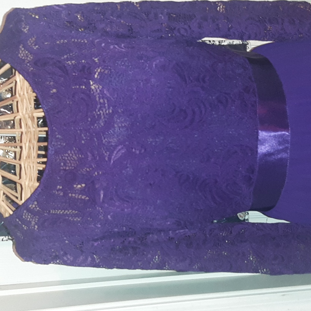 Beautiful Purple (plum) Evenings gown / dress, Ever Pretty size 16, NEW WITH TAG